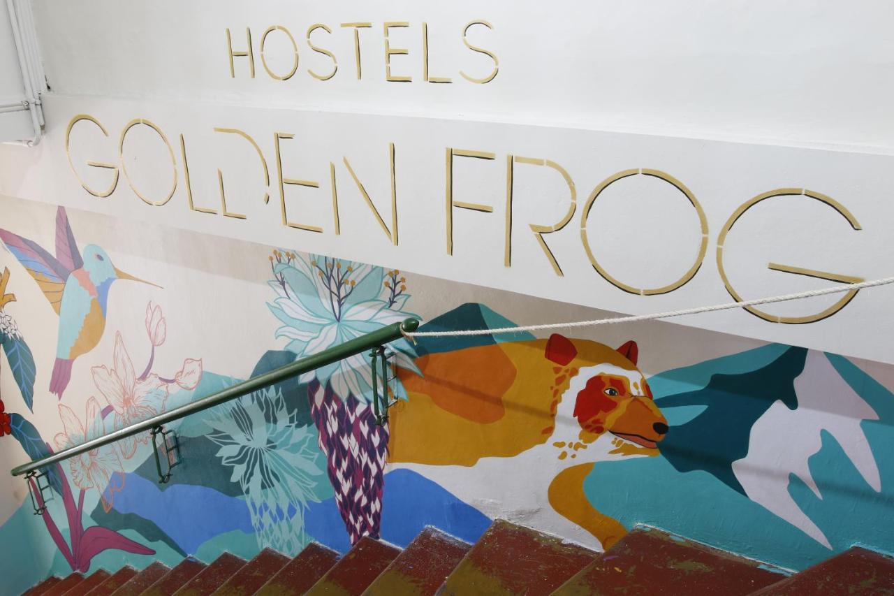 بيت شباب Golden Frog مانيزاليس المظهر الخارجي الصورة