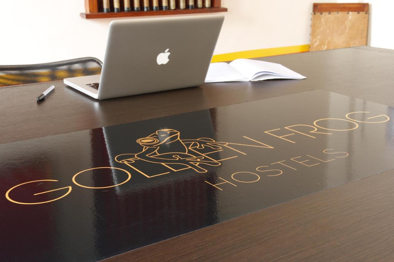 بيت شباب Golden Frog مانيزاليس المظهر الخارجي الصورة